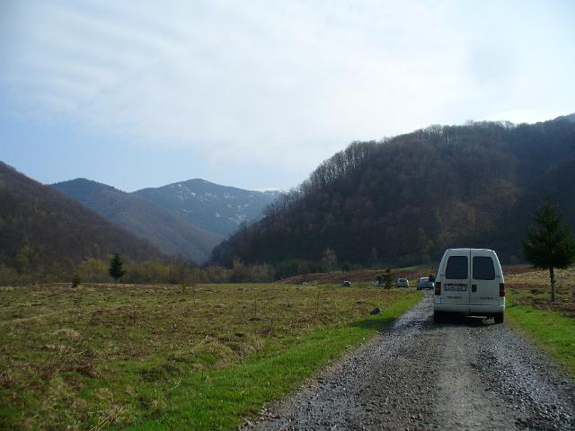 01.JPG