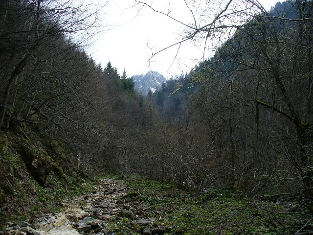 04.JPG
