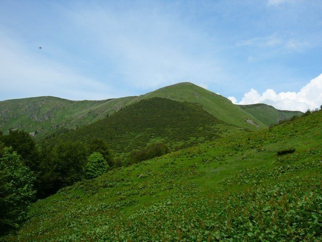 040620_08boga_szeglet
