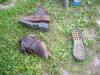 040620_14boga_szeglet