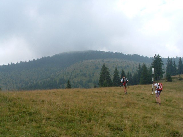 040808_01oncsasza