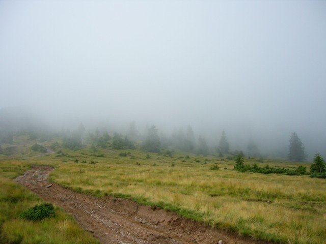 040808_07oncsasza