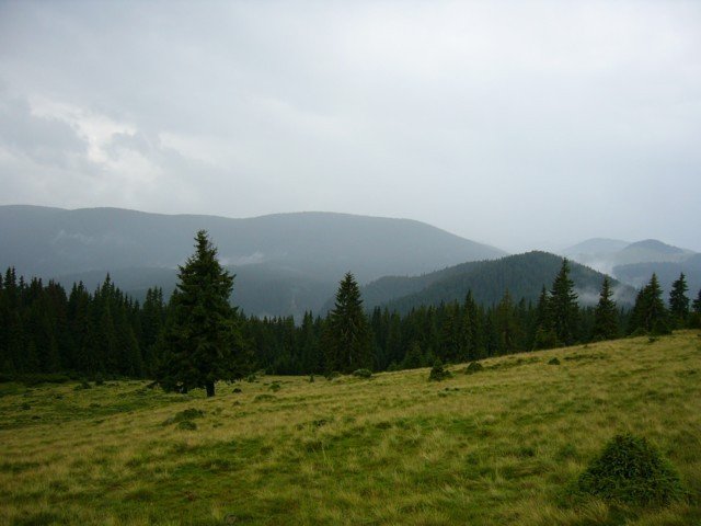 040808_10oncsasza