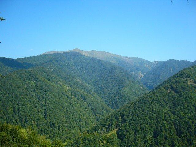 040904_03padis