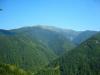 040904_03padis
