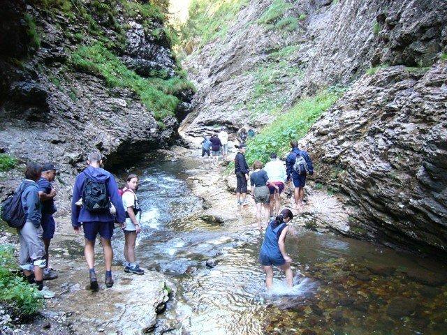 040904_10padis