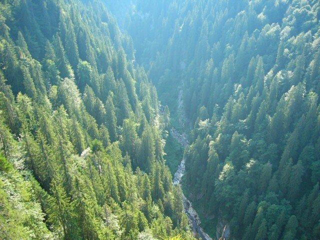 040904_11padis