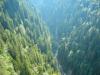 040904_11padis