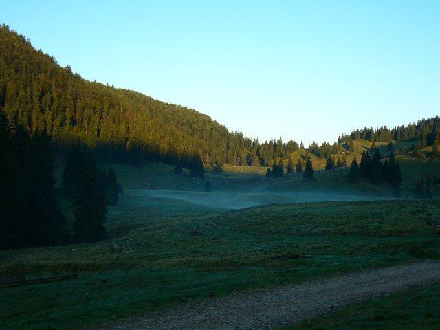 040904_12padis