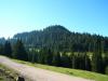 040904_14padis