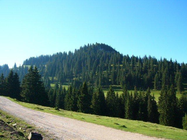 040904_14padis