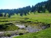 040904_16padis
