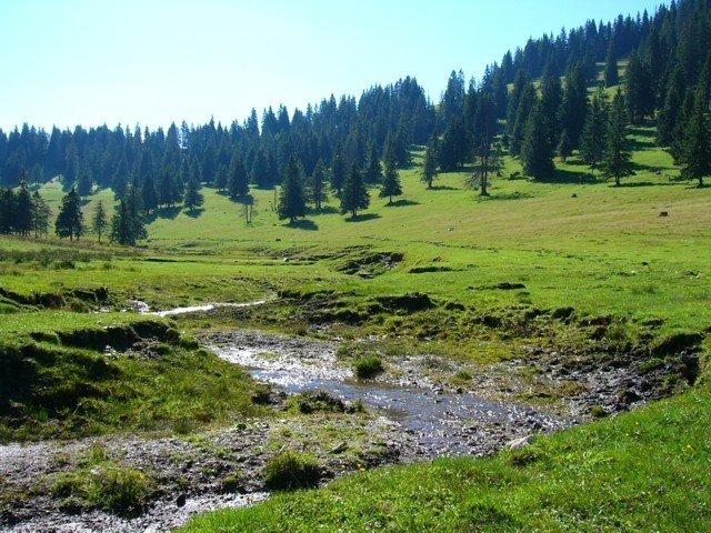 040904_16padis