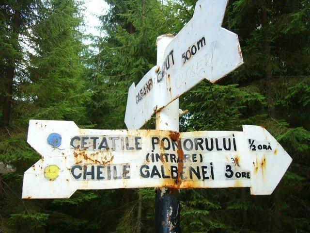 040904_17padis