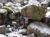 040904_22padis