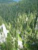 040904_23padis