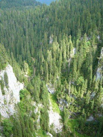 040904_23padis