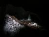 040904_25padis
