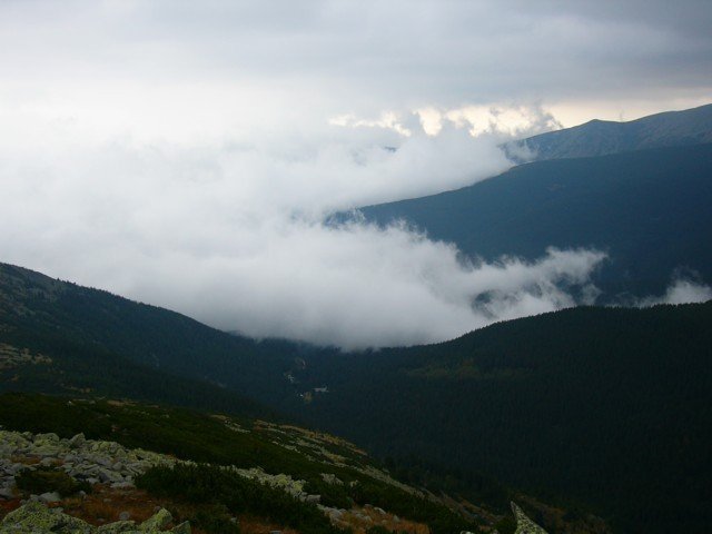 040923_06retyi