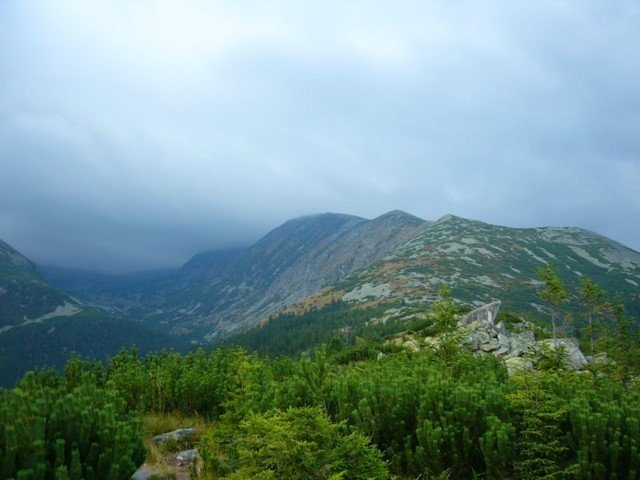 040923_08retyi