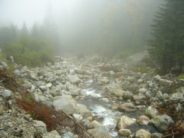 040923_17retyi