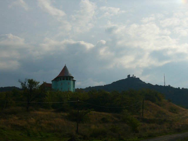 041003_02vilagos_solymos_arad