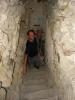 041003_11vilagos_solymos_arad