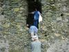 041003_13vilagos_solymos_arad