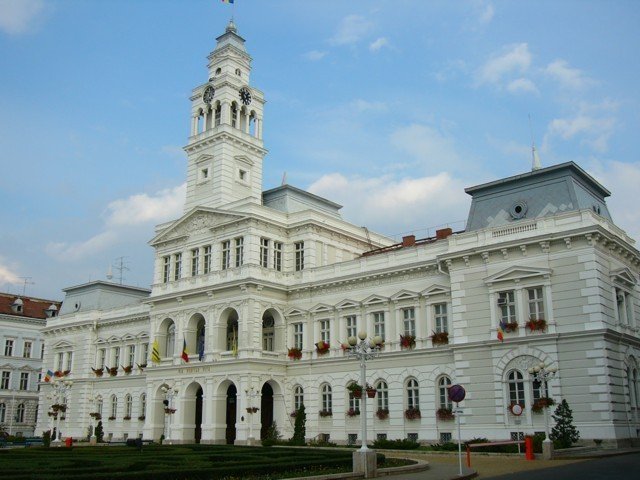 041003_24vilagos_solymos_arad
