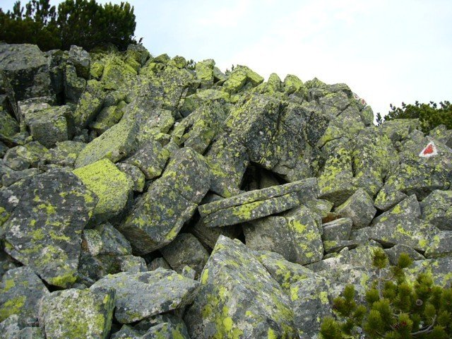 041030_04bocsasza
