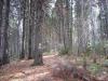 041030_14bocsasza