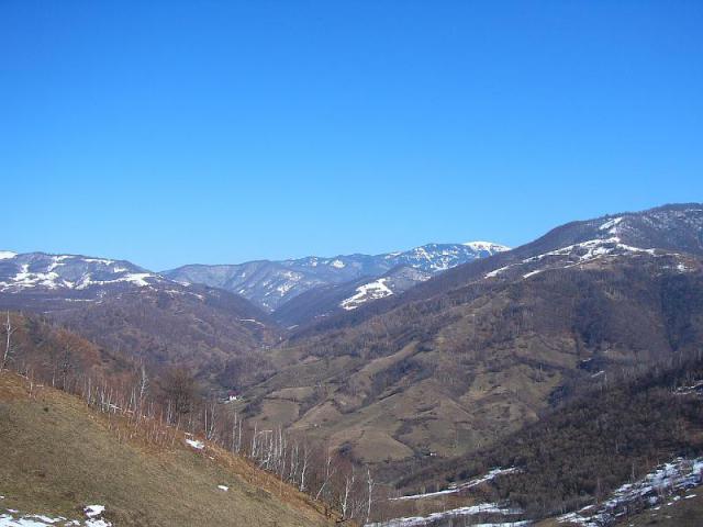 050320_03tatar