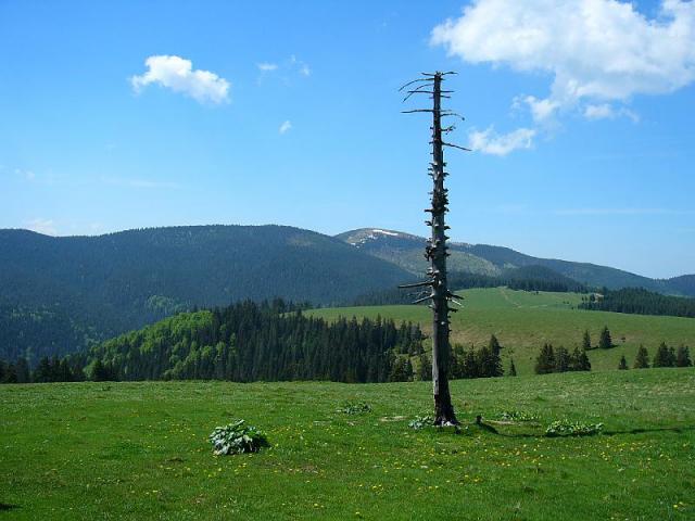 050529_04ordogmalom