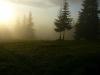 050610_07paring