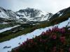 050610_13paring