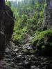 050722_09padis