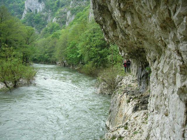 060428_19krasso_nera