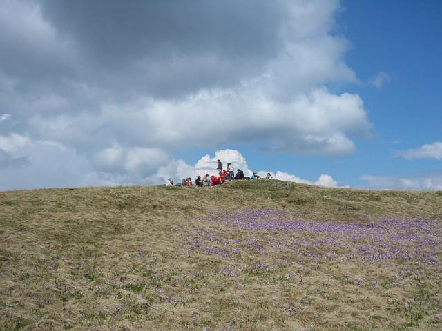 060507_11mezoh_kish