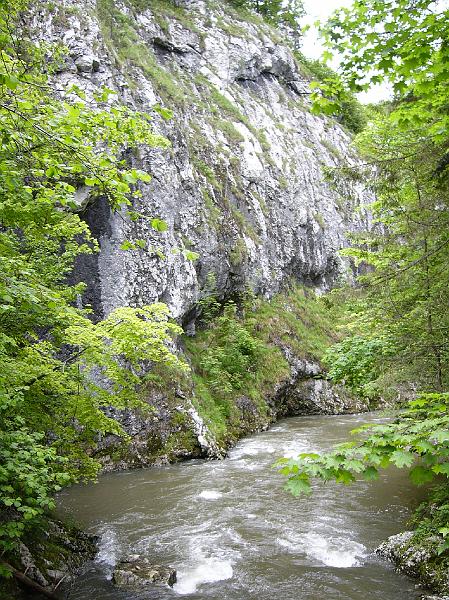 060610_02szlovakpara