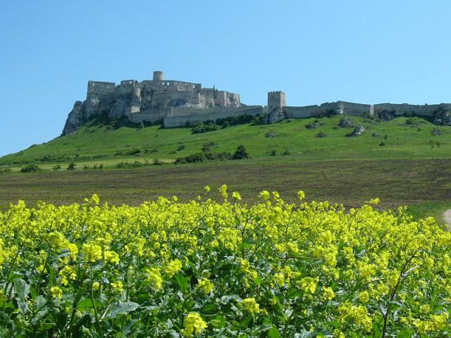 060610_31szlovakpara