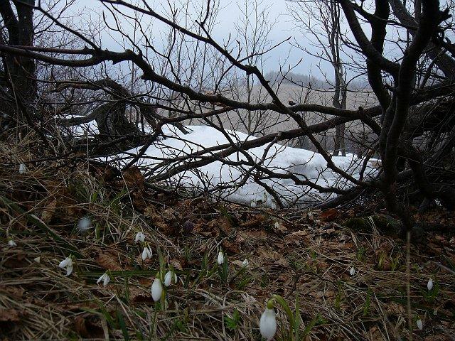 070401_02tatar