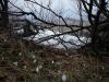 070401_02tatar