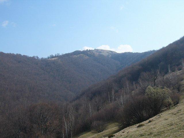 070401_06tatar