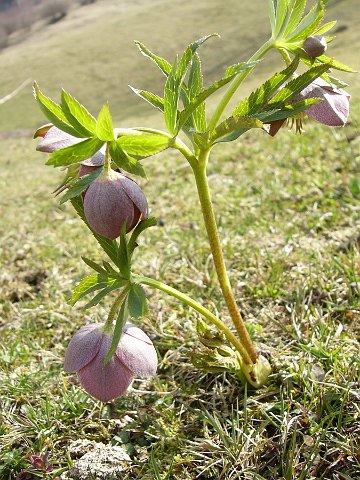 070401_13tatar