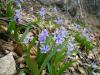 070401_14tatar