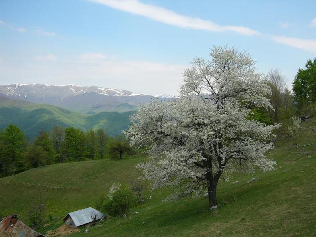 070428_12herkulesf