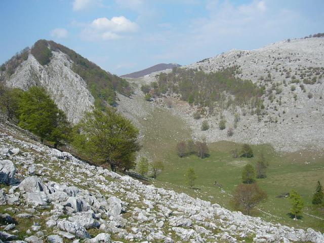 070428_17herkulesf