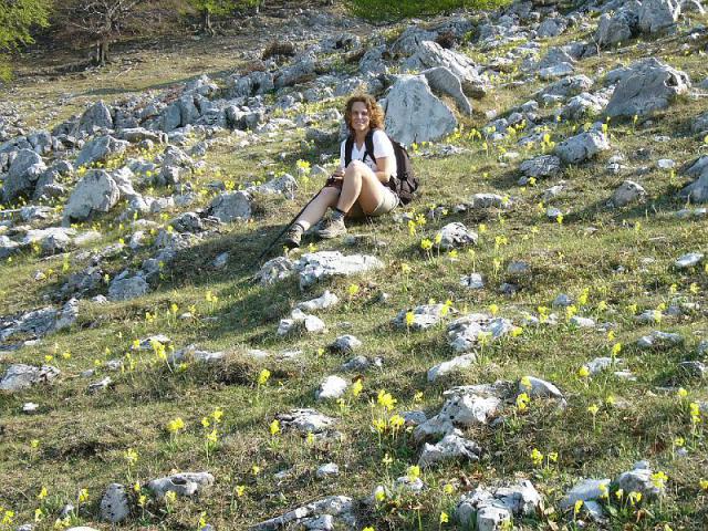 070428_20herkulesf