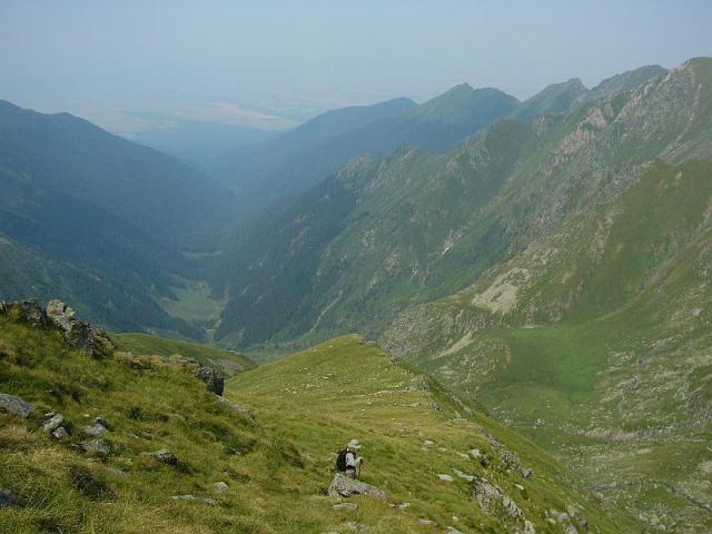 070719_33fogaras