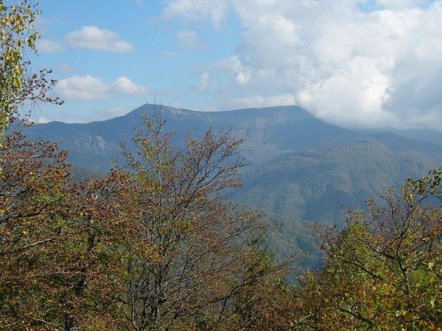 071007_12harasztosim